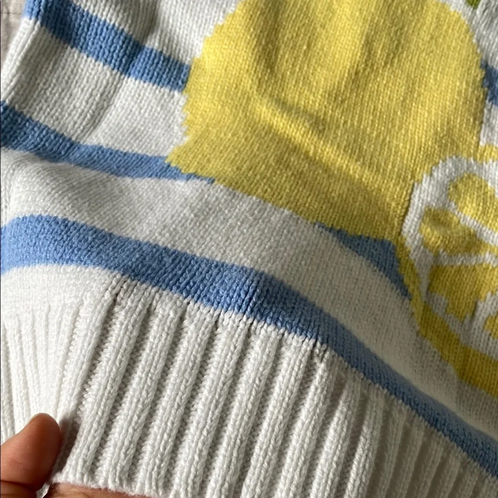 Striped Blue and White Sweater with Lemon Design - Picture 3 of 5